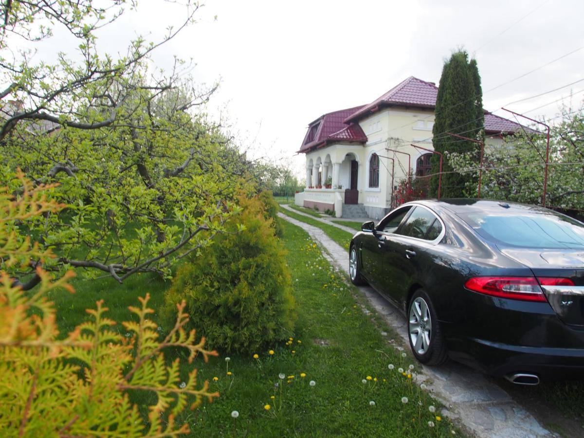 Argeselu Garden Villa - Entire Floor Apartment, Exclusive Garden Access Maracineni Kültér fotó