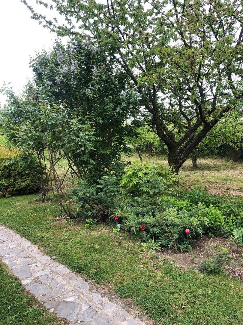 Argeselu Garden Villa - Entire Floor Apartment, Exclusive Garden Access Maracineni Kültér fotó