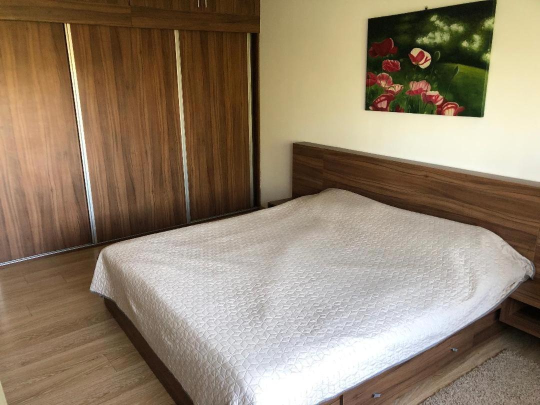 Argeselu Garden Villa - Entire Floor Apartment, Exclusive Garden Access Maracineni Kültér fotó
