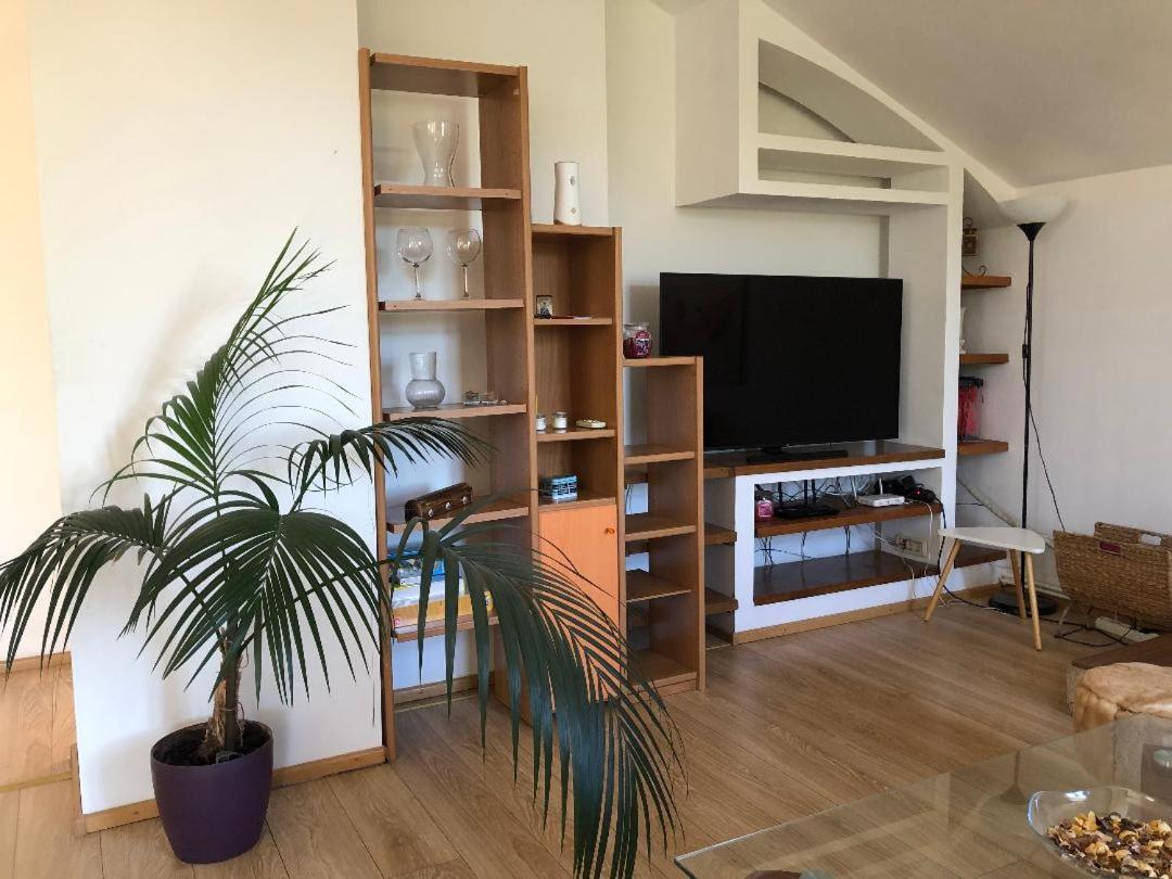 Argeselu Garden Villa - Entire Floor Apartment, Exclusive Garden Access Maracineni Kültér fotó